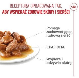 Royal Canin Hair & Skin Care w sosie karma mokra dla kotów dorosłych, zdrowa skóra, piękna sierść saszetka 85g