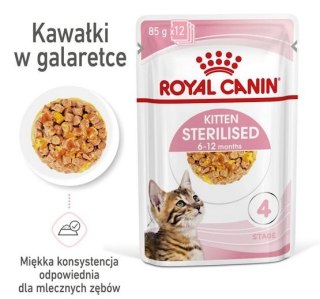 Royal Canin Kitten Sterilised karma mokra w galaretce dla kociąt od 6 do 12 miesiąca życia, sterylizowanych saszetka 85g