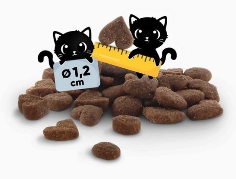 Lucky Lou Food Code Lifestage Adult Drób & Kaczka 1,7kg