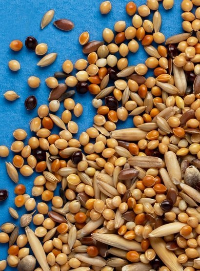 Rio Pokarm dla papużki falistej 1kg