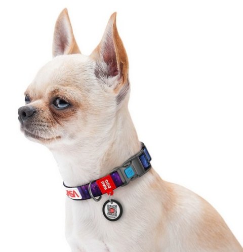 Collar WauDog Nylon Obroża nylonowa z QR-paszportem, plastikowy fastex, wzór NASA21, 20mm/28-40cm