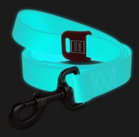 Collar WauDog Waterproof Smycz wodoodporna akumulująca światło M 20mm/183cm