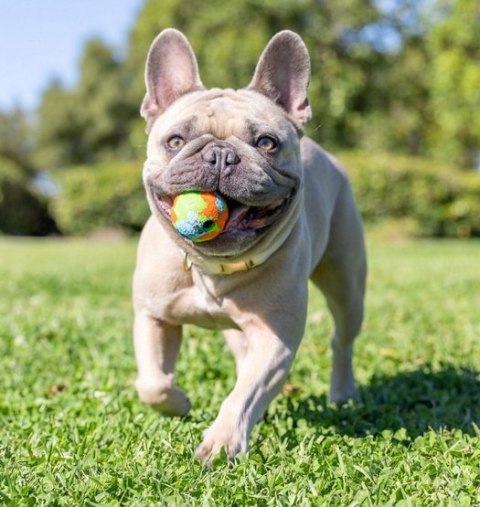 Chuckit! Eco Fetch Ball Small 2pak [37163]