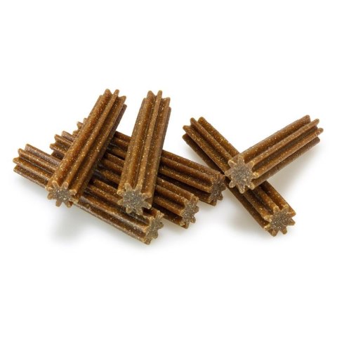 ARQUIVET Dental Sticks Classic