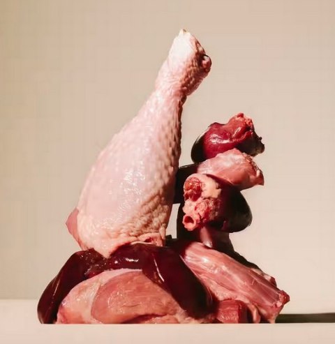 Carnilove Dog Turkey & Pheasant - indyk i bażant saszetka 300g