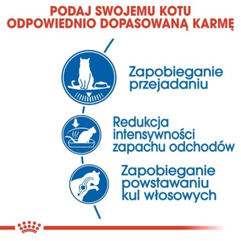 Royal Canin Indoor Appetite Control karma sucha dla kotów dorosłych, przebywających w domu, domagających się jedzenia 2kg