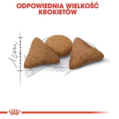 Royal Canin Indoor Appetite Control karma sucha dla kotów dorosłych, przebywających w domu, domagających się jedzenia 2kg