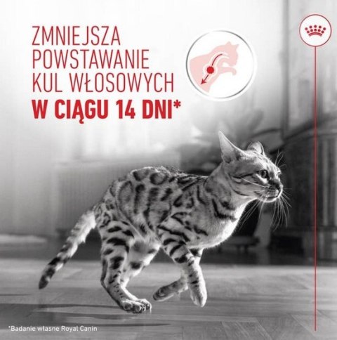 Royal Canin Hairball Care karma sucha dla kotów dorosłych, eliminacja kul włosowych 2kg