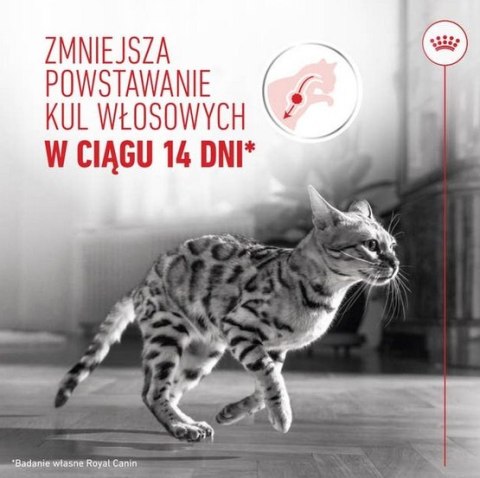 Royal Canin Hairball Care w sosie karma mokra w sosie dla kotów dorosłych, eliminacja kul włosowych saszetka 85g