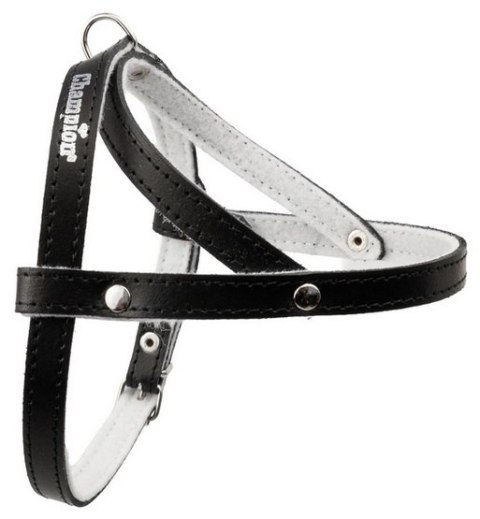 Champion Szelki 40 czarne [SD]