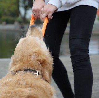 Dingo Zabawka dla psa - Ringo zaplatane Energy 18cm czerwono-zielone